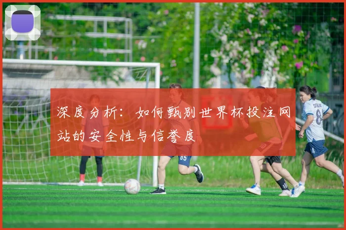 深度分析：如何甄别世界杯投注网站的安全性与信誉度