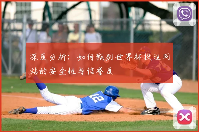 深度分析：如何甄别世界杯投注网站的安全性与信誉度