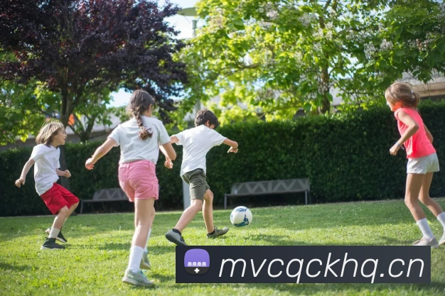 星空网页版入口APP 封面图